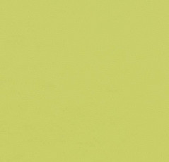 Линолеум Forbo Furniture Linoleum 4182 spring green фото 1 | FLOORDEALER